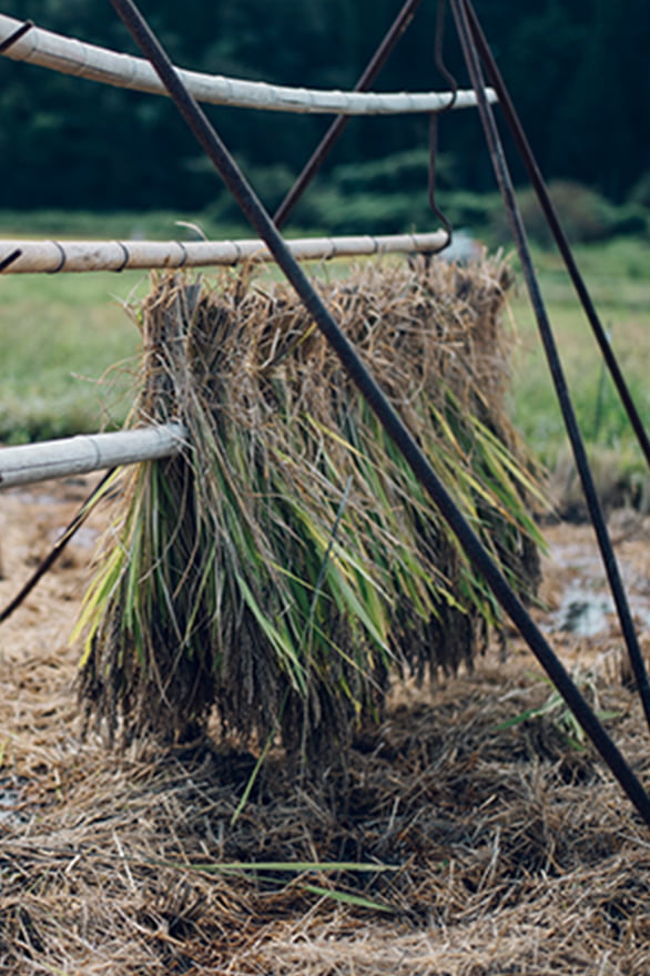 かさの郷の写真