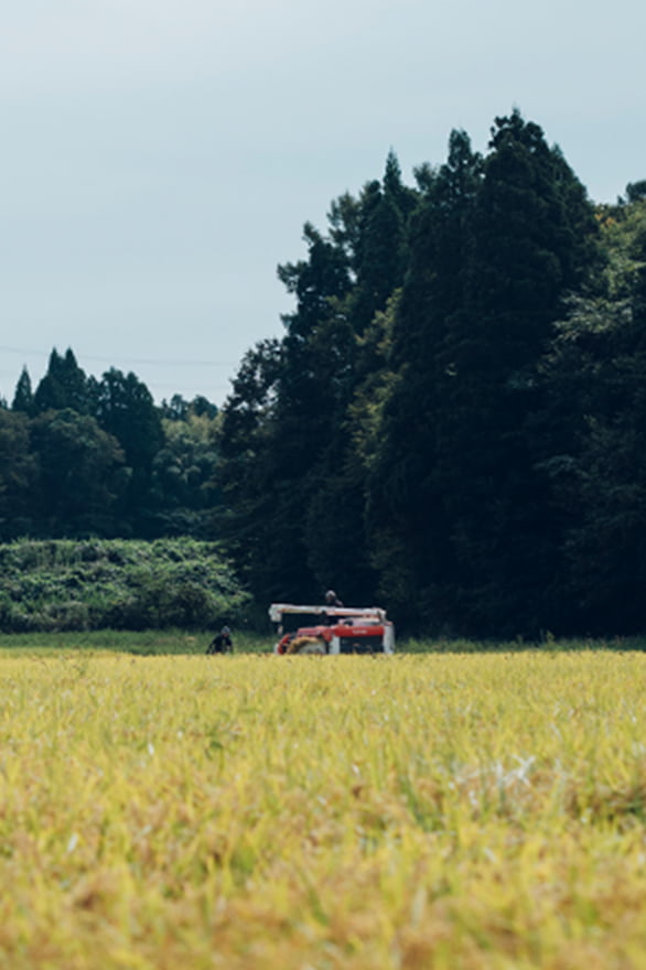 かさの郷の写真