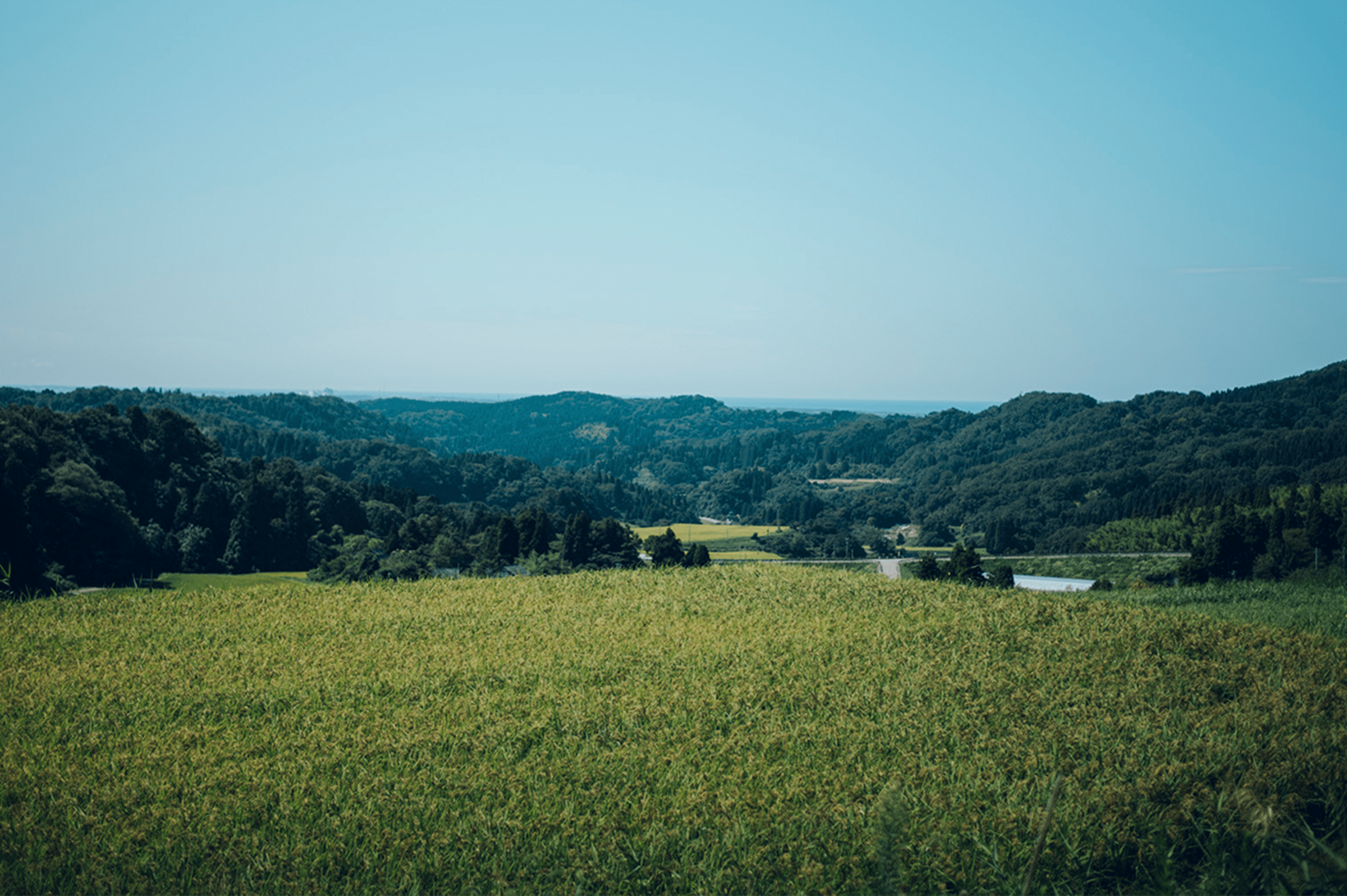 かさの地域の風景