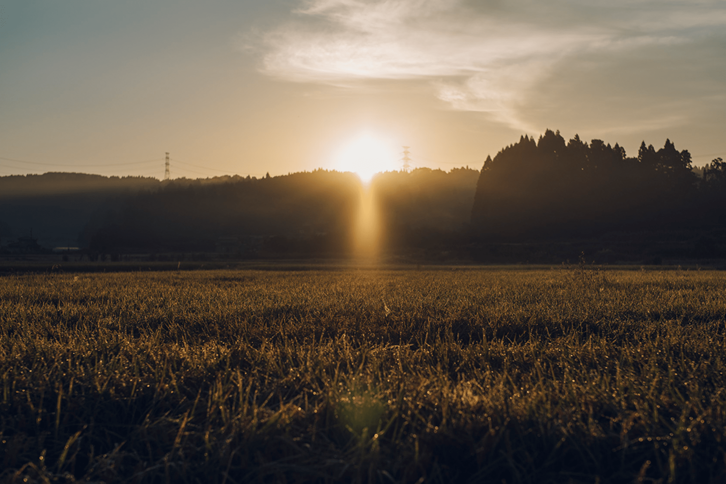 かさの地域の風景